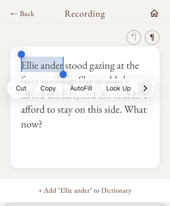 A transcript where the name Ellender came back as Ellie ander, selected, with an Add to Dictionary option below